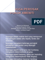 Serangga Perosak Bahagia 1 Dari 2