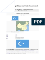 Première République Du Turkestan Oriental
