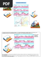A formação da frente polar (10.º)