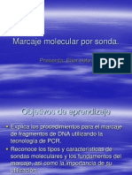 Marcaje Sondas PCR
