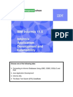 2.4a Informix Application Development Survey Lab