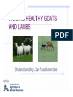 Raising Healthy Goats and Lambs Guide