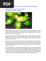 Download Kumpulan Artikel Pinang by IN Mauliza SN245234235 doc pdf