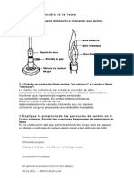 Cuestionario Estudio de La Llama