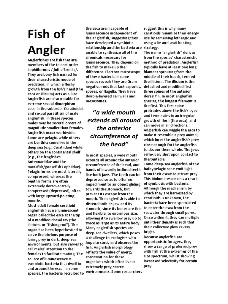 Fish of Angler | PDF | Aquatic Vertebrates | Fish