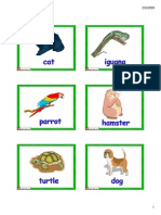 Flashcards Pet 