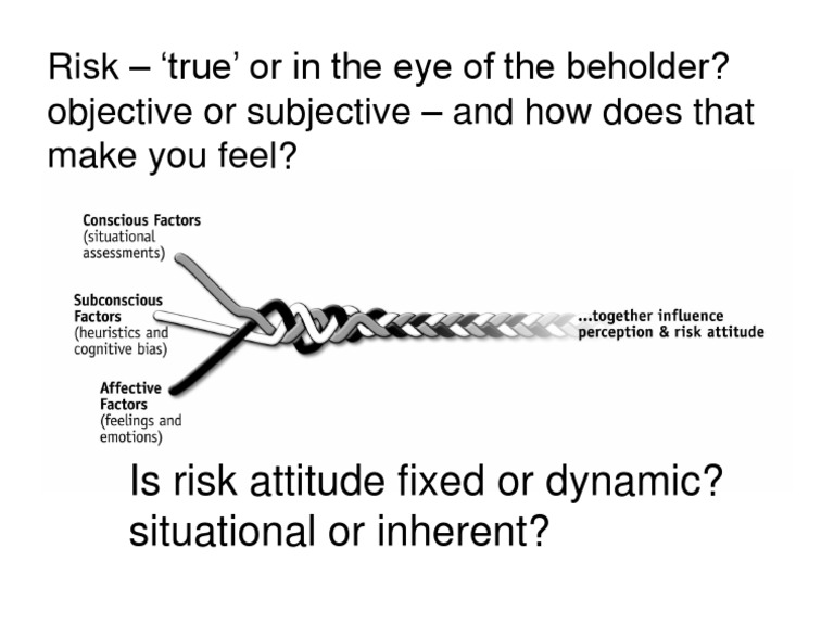 Risk - True' or in The Eye of The Beholder? Objective or Subjective ...