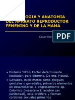 1 Embriologia y Anatomia Del Aparato Genital Femenino y de La Mama