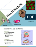 Cell Structure 2012