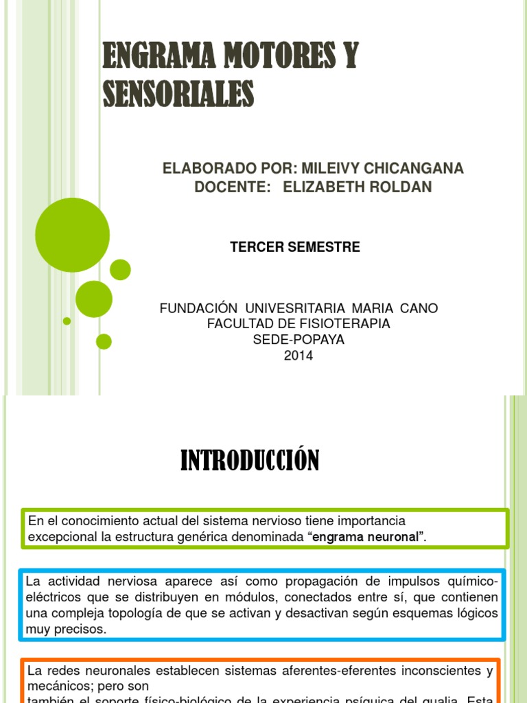 Engrama Neuronal | Descargar gratis PDF | Neurona | Cerebro