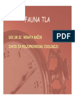 Fauna Tla 1