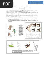 Adaptaciones de Los Seres Vivos