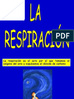 002-Respiratoriola Respiracion