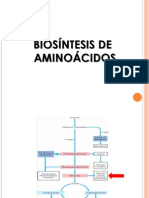 Biosíntesis de Aminoácidos