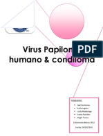 EL PAPILOMA HUMANO Y EL CONDILOMA (Autoguardado)JCM.docx