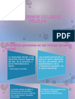 MECANISMOS DE LESION CELULAR.pptx