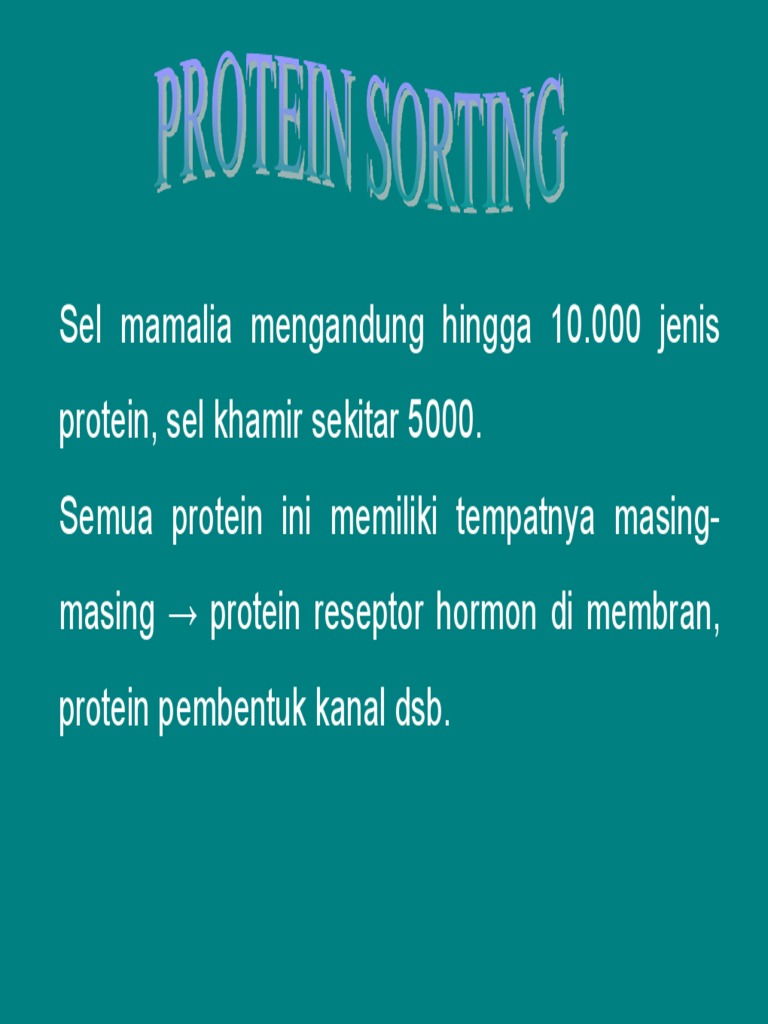Proses Sintesis dan Targeting Protein Seluler | PDF | Sains & Matematika
