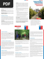 La Ergonomía en Labores de Selección y Embalaje de Frutas en Packing