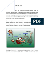 Fisiologia Digestiva de Las Aves 