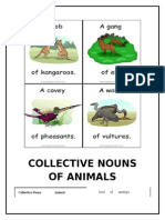 Collective Nouns of Animals