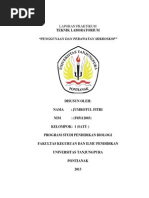 Download LAPORAN PRAKTIKUM PENGGUNAAN DAN PERAWATAN MIKROSKOPdocx by jumrotulfitri241194 SN245333583 doc pdf