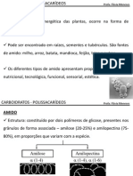 2 Carboidratos Polissacarideos PDF