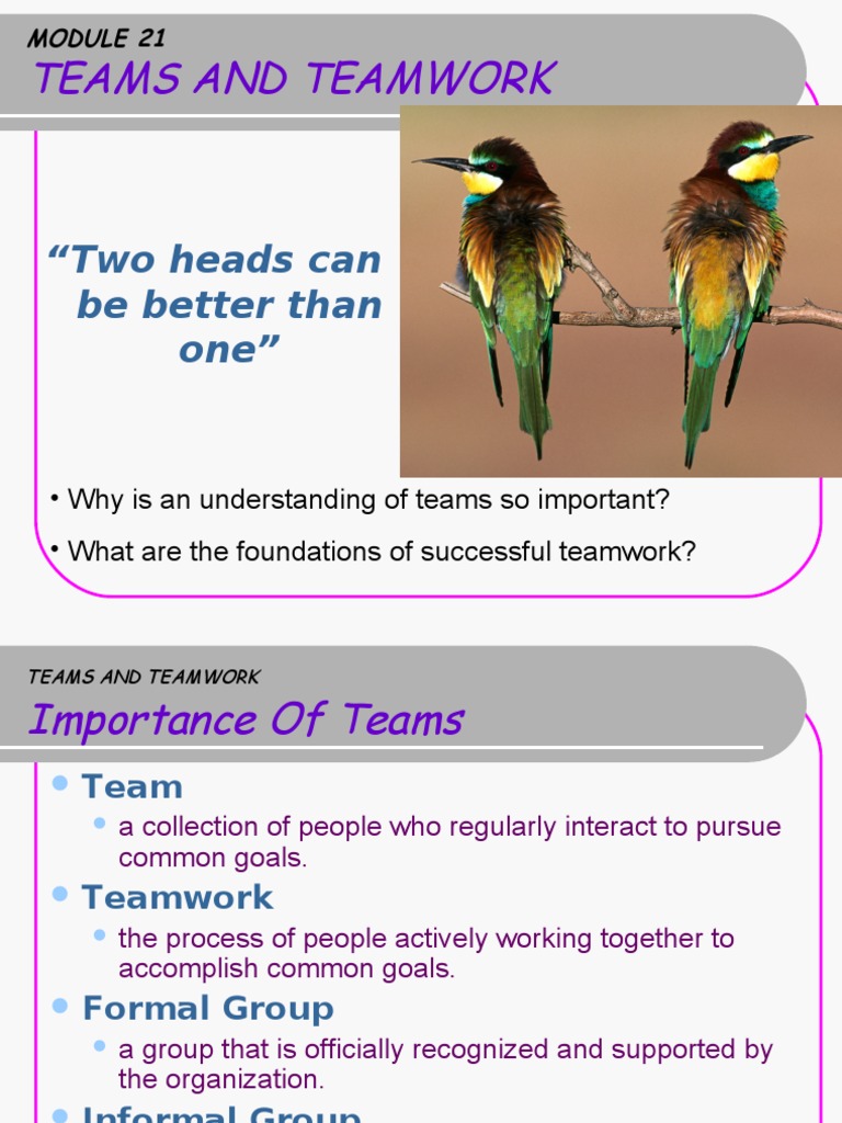 Teams and Teamwork | Download Free PDF | Leadership | Behavioural Sciences
