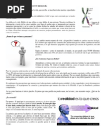 Tu Biografia Se Convierte en Tu Biologia