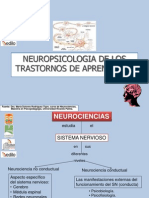 1_neuropsicologia_de_los_trastornos_del_aprendizaje.ppt