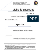 Portafolio de Evidencias 