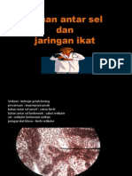 Bahan Tentiran Jaringan Ikat