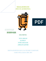 Download Makalah Biologi Phylum Arthropod A by kyodri SN24539824 doc pdf