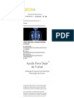 » TERAPIA EMOCIONAL Y ÓRGANOS INTERNOS_ Los Riñones.pdf