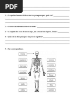 4º Ano-corpo Humano Incendios2