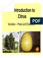 Citrus PDF CRFG