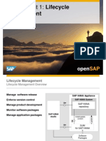 OpenSAP HANA1 Week 06 SAP HANA Advanced Development Options Presentation