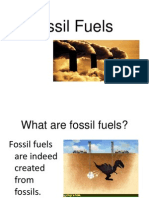 Fossil Fuels Report