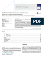 The Fetal Safety of Levetiracetam