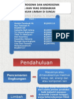 Efek Estrogenik Dan Androgenik Pada Ikan Yang Disebabkan Buangan Limbah Di Sungai