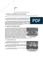 Replantacija Izbijenih Zuba PDF