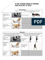 Exercicios de Forza