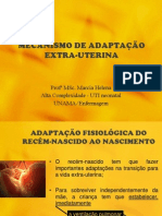 Adaptação Extra Uterina