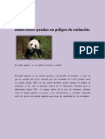 Datos Sobre Pandas en Peligro de Extinción