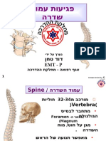 פגיעות עמש