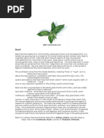 Download Basil Ocimum Basilicum Of the Family Lamiaceae Mints Such As by Sheryl SN24550430 doc pdf