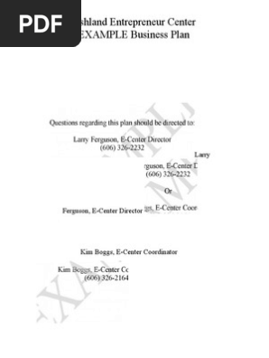 EXAMPLE Business Plan - Private Investigator