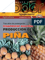 Poder Agropecuario - Agricultura - N 29 - Diciembre 2013 - Paraguay - Portalguarani