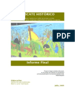 Resc Hist PPF Informe Final