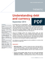 Understanding Debt and Currency Crises