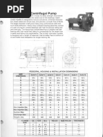 Bomba Dragon PDF